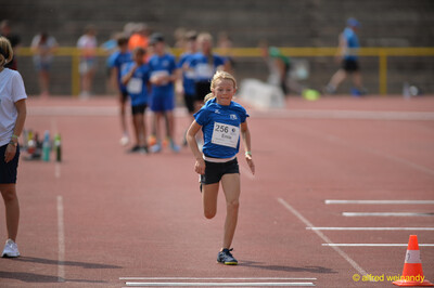 Ein Kind läuft im Sprint über die Laufbahn auf die Kamera zu beim Walfried-Heinz-Sportfest der TG Konz im Saar-Mosel-Stadion in Konz.