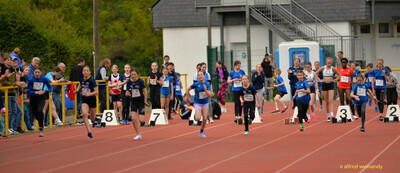 Kinder starten aus den Startblöcken zum Sprint auf der Rundbahn beim Walfried-Heinz-Sportfest der TG Konz im Saar-Mosel-Stadion in Konz.