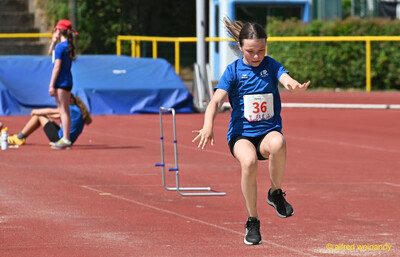 Ein Kind landet mit vorgestreckten Armen nach einem Sprung beim Kinderleichtathletik-Sportfest der TG Konz im Saar-Mosel-Stadion in Konz