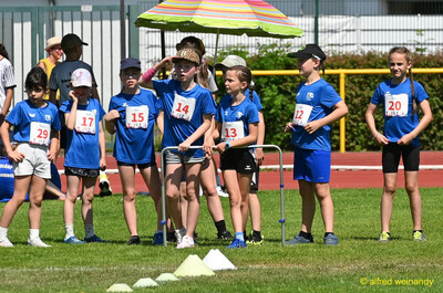 Mehrere Kinder stehen mit Startnummern in einer Reihe und warten beim Kinderleichtathletik-Sportfest der TG Konz im Saar-Mosel-Stadion in Konz