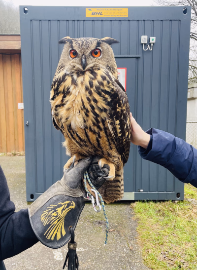 Spende Wiltingen Bild 10